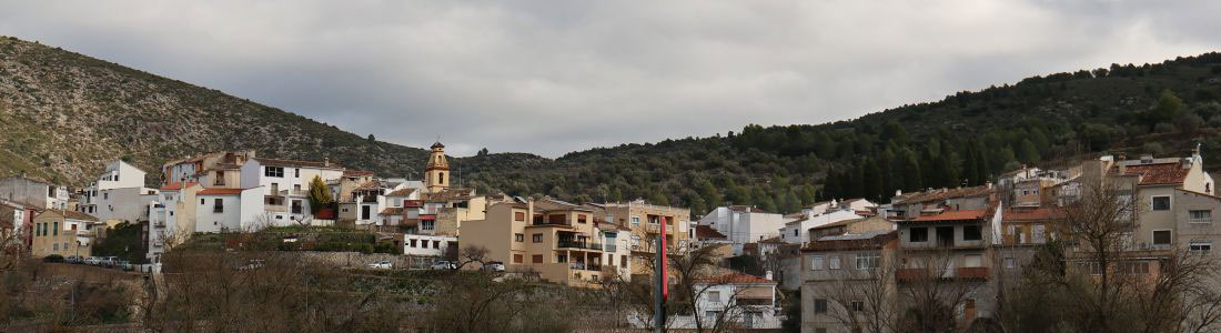 Disfuta de la naturaleza