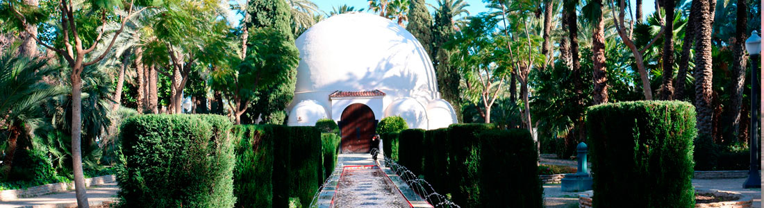 Disfuta de la naturaleza