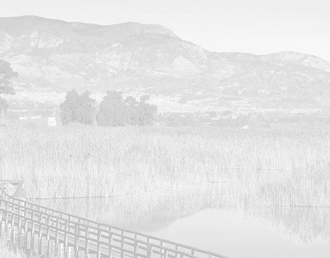 Paraje Natural El Hondo